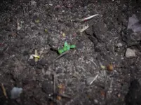 DSCN6311.webp