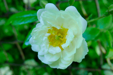 CIMG3841.webp