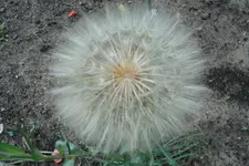 2012 06 01 010.webp