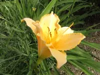 017.webp