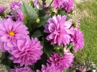 016.webp