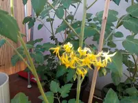 IMG_20120605_184301.webp