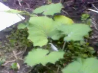 05062012474.webp