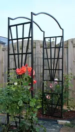 Rosenbogen.webp