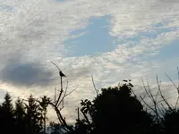 132.webp