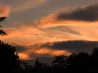 175.webp
