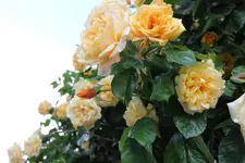 IMG_5844.webp