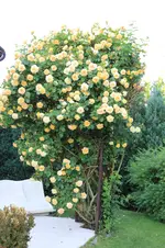 IMG_5842.webp