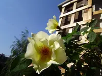 P2140207.webp
