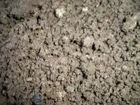 soil.webp