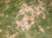 2012-06-05-050.webp