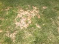 2012-06-05-051.webp