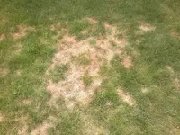2012-06-05-052.webp