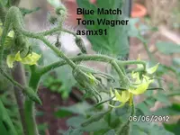 BILD0249.webp