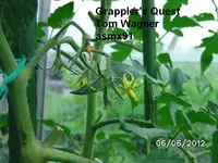 BILD0256.webp