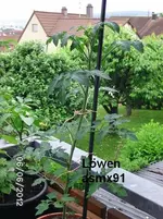 BILD0243.webp