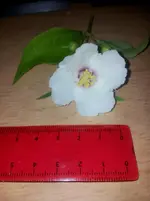 20120603190345.webp