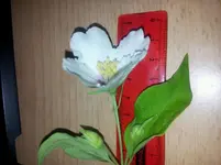 20120603190241.webp