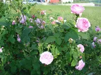 DSC06834.webp