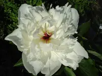 DSC06845.webp