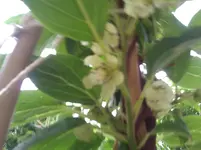 WP_000198.webp