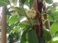 WP_000199.webp