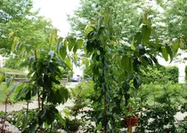 DSC_5698.2.webp
