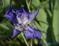 comp_DSC07905.webp