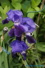 comp_DSC07997.webp