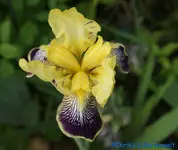 comp_DSC08003.webp