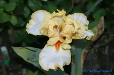 DSC08081.webp
