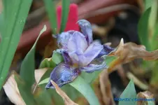 nana Clever Touch.webp