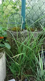 DSC01422.webp