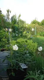 DSC01442.webp