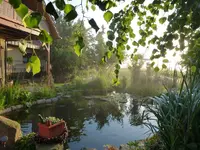 Teich.webp