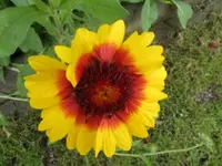 026.webp