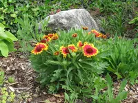 IMG_0278.webp