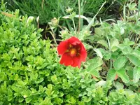 2012_0606juni120013.webp