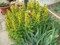 2012_0606juni120021.webp