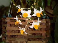 SIMG0003.webp