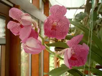 SIMG0009.webp