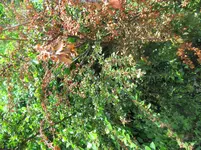 IMG_1010.webp