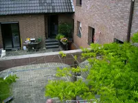 PICT0132.webp