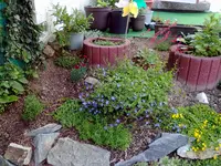 28052012502.webp