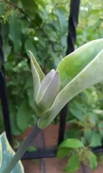 20120607180152.webp
