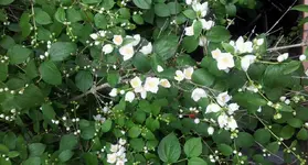 20120607175958.webp