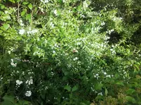 20120607180432.webp