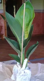 2012-06-08 09.05.57.webp