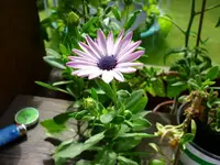 WerBinIch1.webp