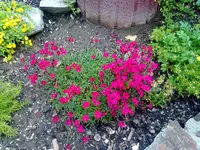 08062012542.webp